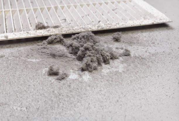 Best Affordable HVAC Duct Cleaning  in Hallettsville, TX