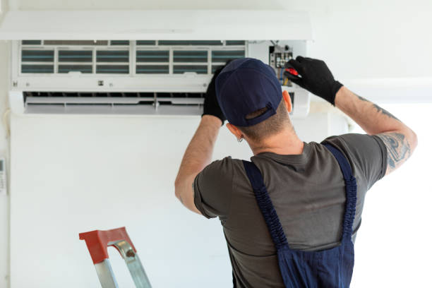 Best Air Duct Mold Removal  in Hallettsville, TX