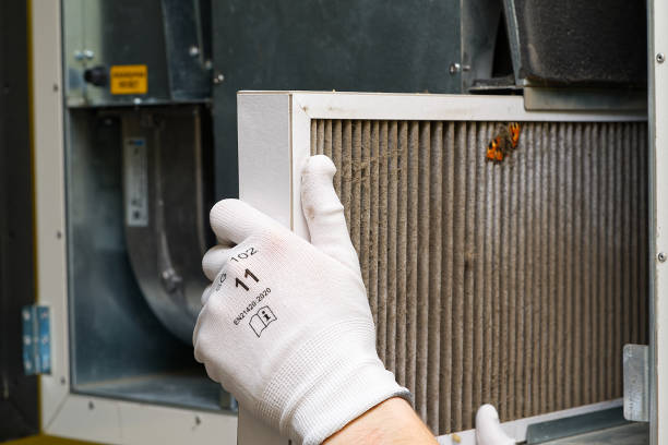 Best Air Vent Cleaning Services  in Hallettsville, TX