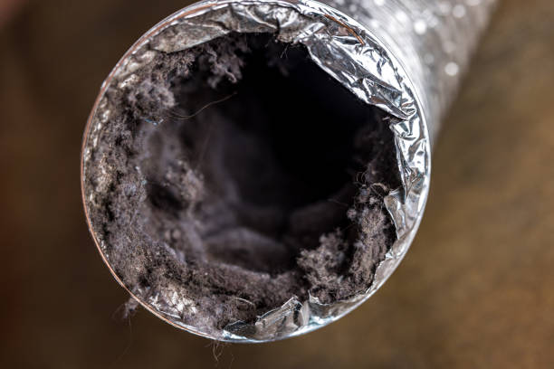 Best Air Duct Cleaning Near Me  in Hallettsville, TX
