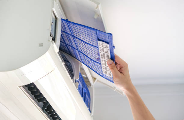 Best Local Air Duct Cleaning Services  in Hallettsville, TX